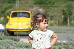 2_DSC06618